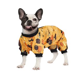 Costume cane zucche halloween