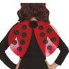 Ali coccinella bambino