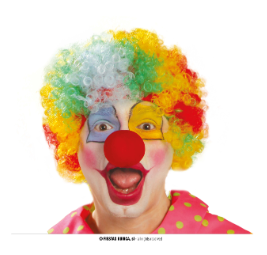 Parrucca Clown multicolore