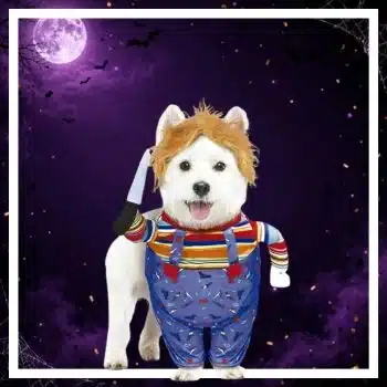 Animali - Halloween